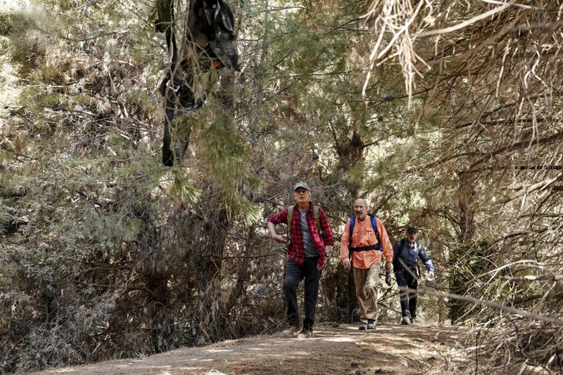 Foto Don Lake, Mark Harmon