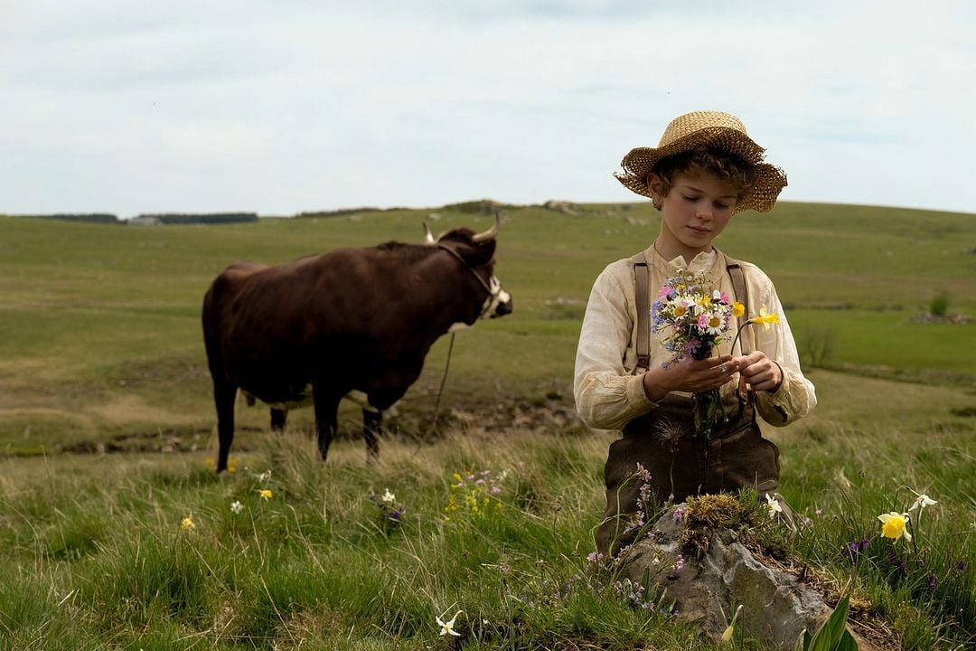 Rémi: La película : Foto