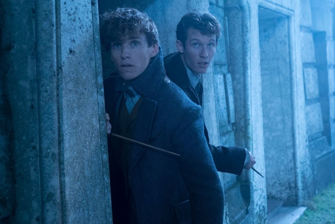 Animales fantásticos: Los crímenes de Grindelwald : Foto Eddie Redmayne, Callum Turner