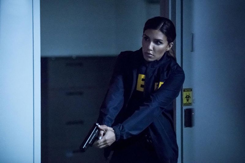 Arrow : Foto Juliana Harkavy