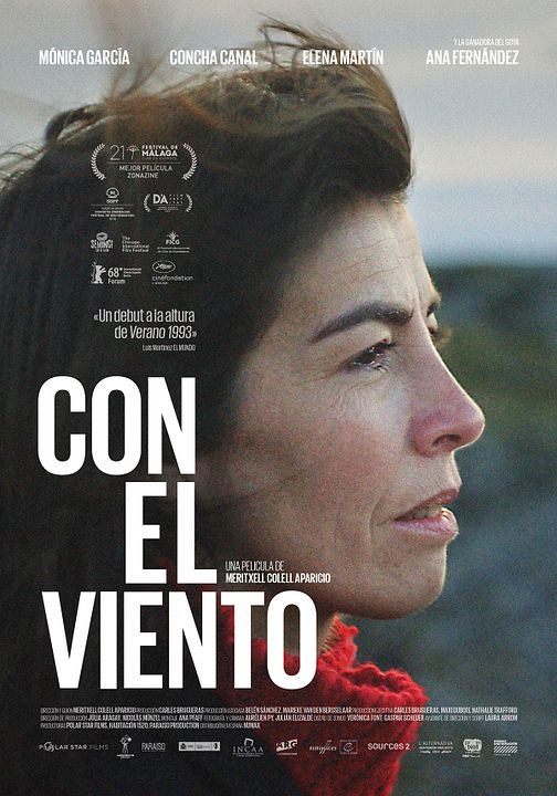 Con el viento : Póster