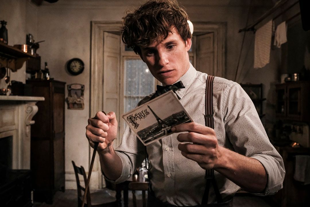 Animales fantásticos: Los crímenes de Grindelwald : Foto Eddie Redmayne