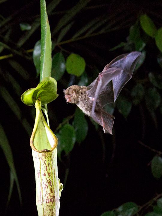 Nuestro Planeta : Póster
