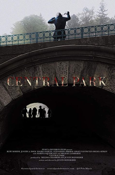 El Asesino de Central Park : Póster