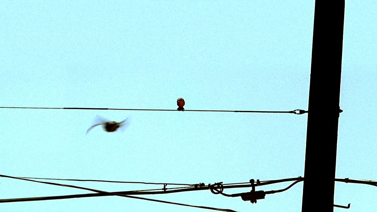 Mentes criminales : Póster