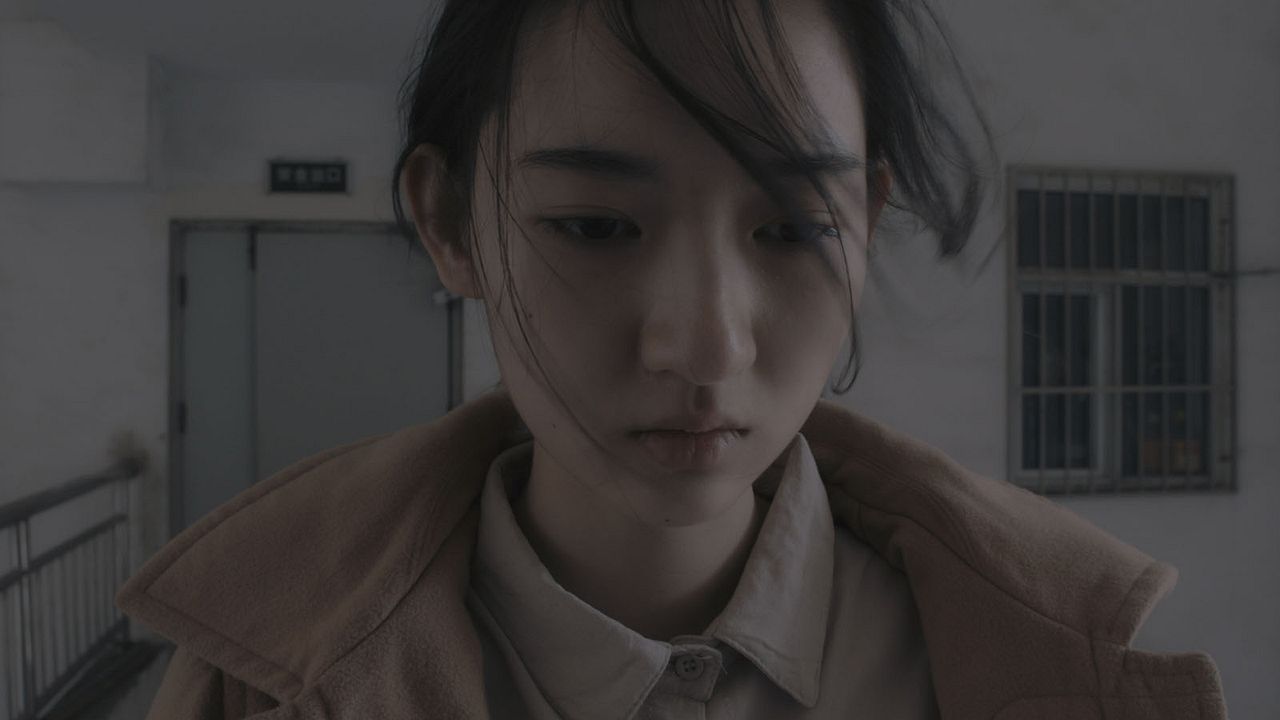 Un elefante sentado y quieto : Foto