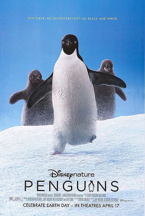 Pingüinos : Póster