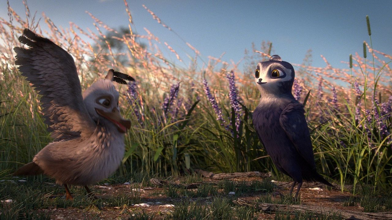 Pajaritos a volar : Foto