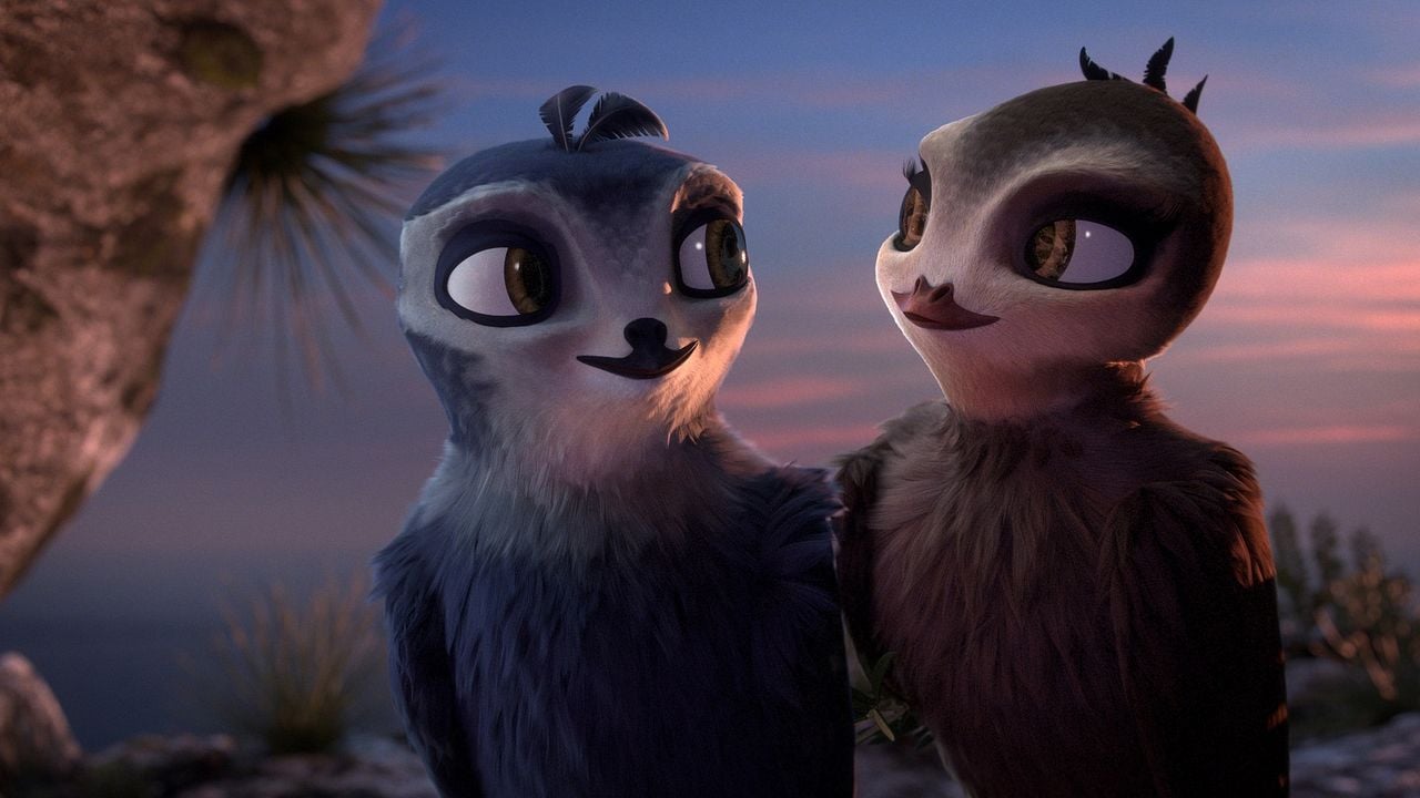 Pajaritos a volar : Foto