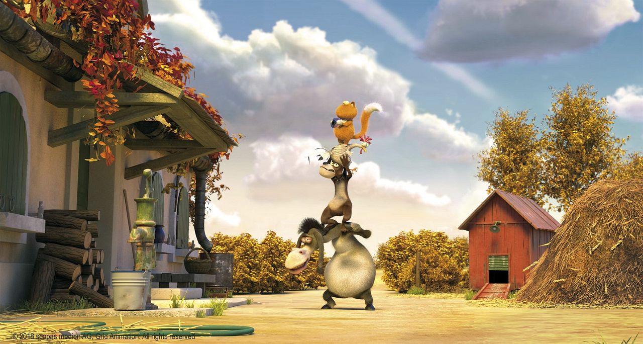 Agente 00 - gato : Foto