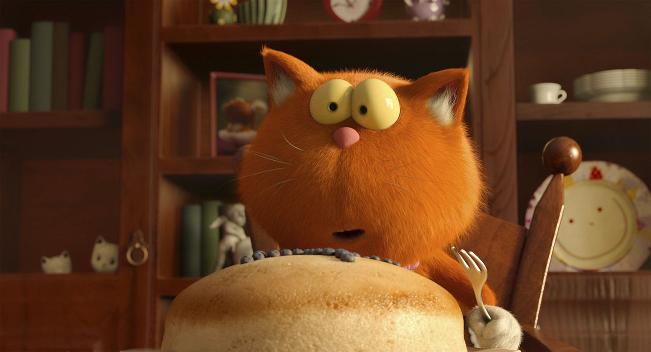 Agente 00 - gato : Foto