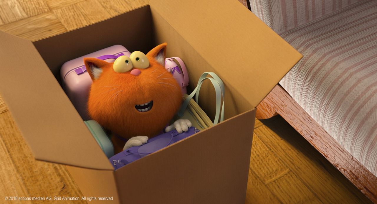 Agente 00 - gato : Foto