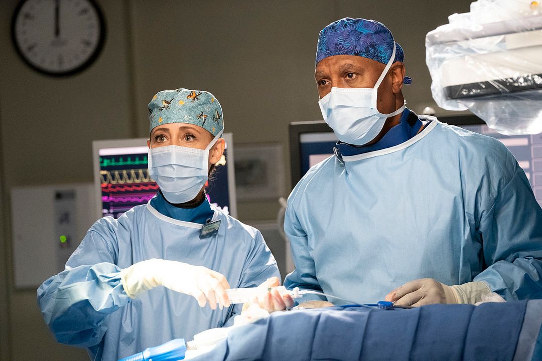 Grey's Anatomy : Foto Kim Raver, James Pickens Jr.