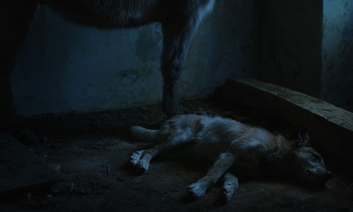 I Was at Home, But : Foto