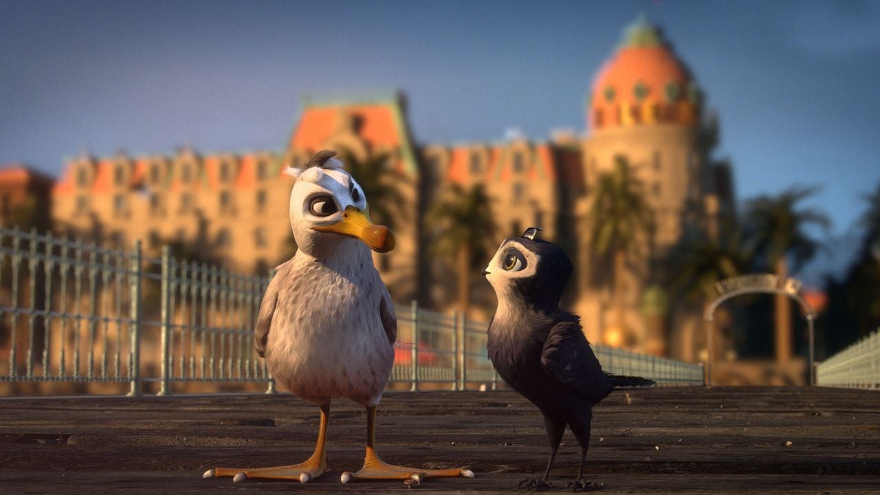 Pajaritos a volar : Foto