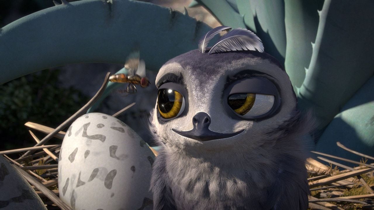 Pajaritos a volar : Foto