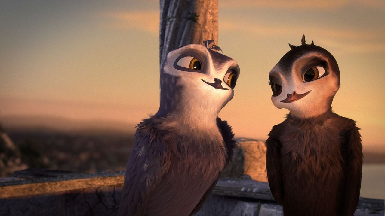 Pajaritos a volar : Foto