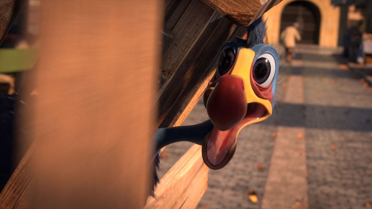 Pajaritos a volar : Foto