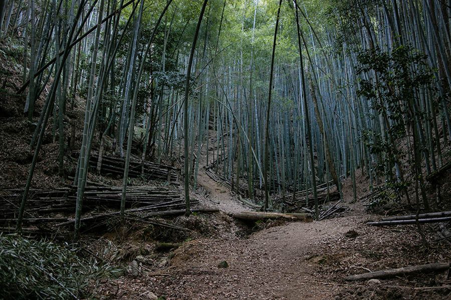 El lugar de las tres cascadas: Pequeñas historias de Hiroshima : Póster