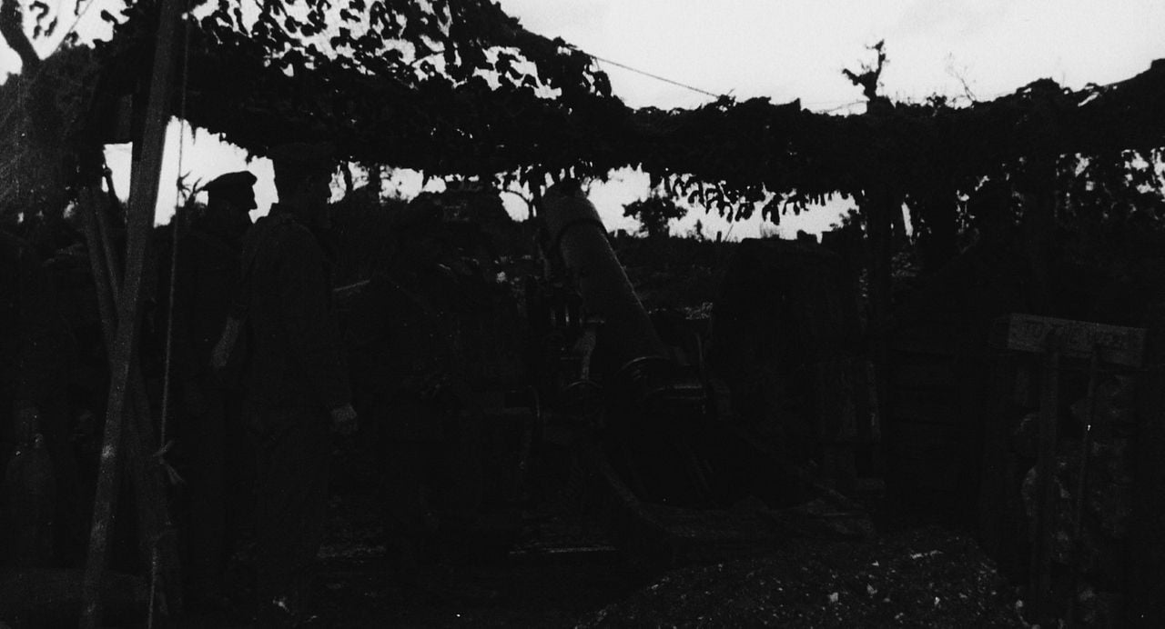 Jamás llegarán a viejos : Foto