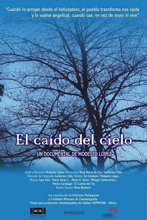 El Caído Del Cielo : Póster
