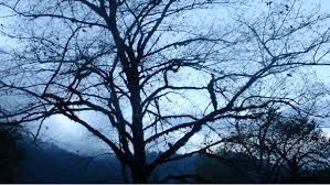 El Caído Del Cielo : Foto