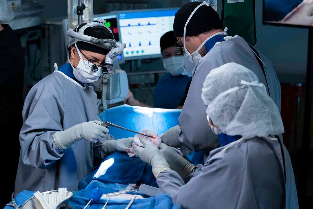 Grey's Anatomy : Foto Chris Carmack, Caterina Scorsone