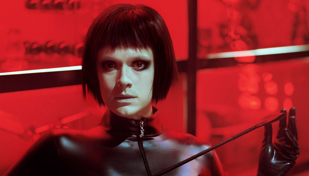 Dogs Don’t Wear Pants : Foto