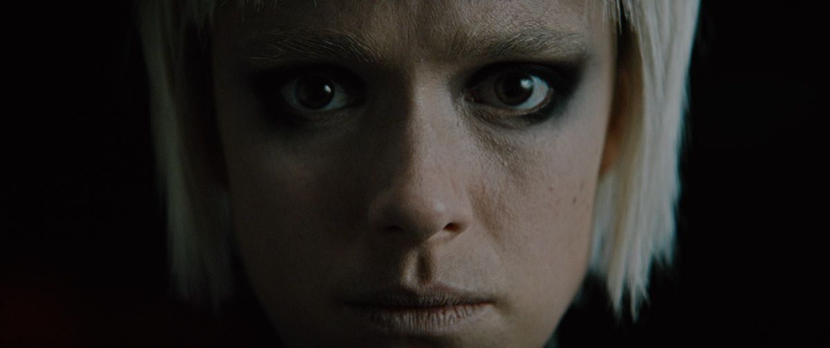 Dogs Don’t Wear Pants : Foto