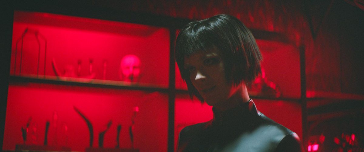 Dogs Don’t Wear Pants : Foto