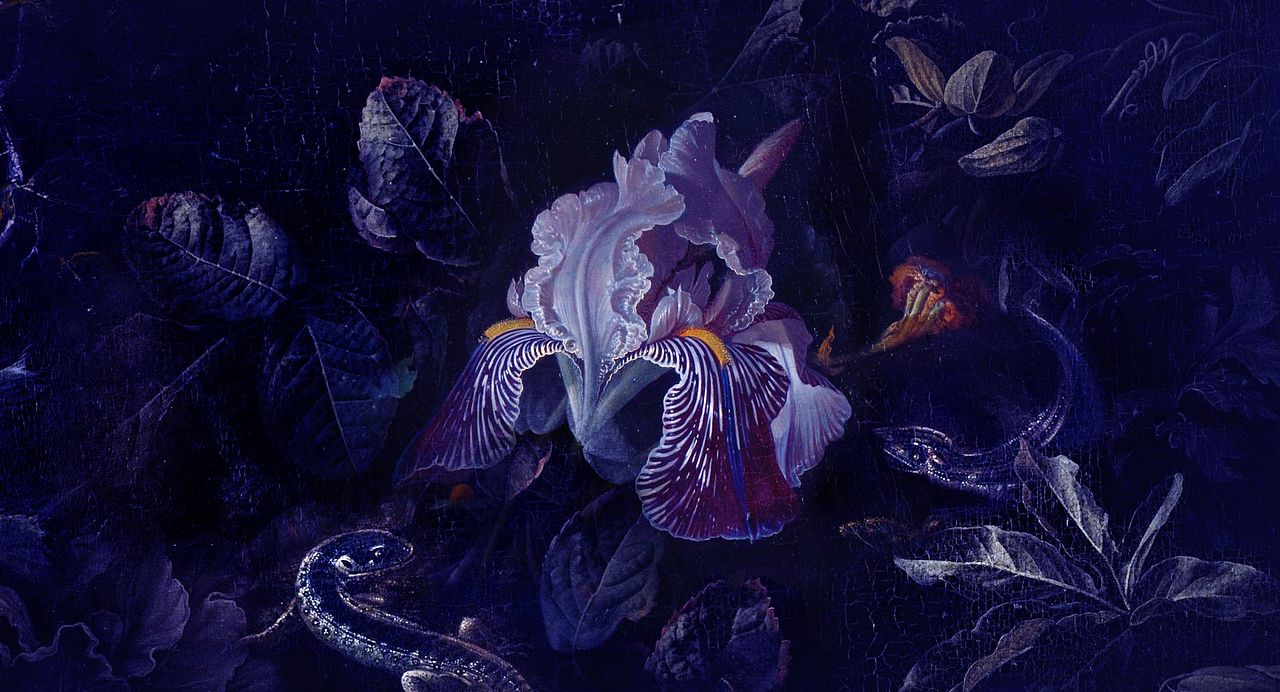 O Beautiful Night : Foto