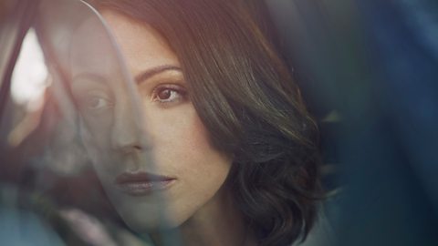 Doctor Foster : Póster