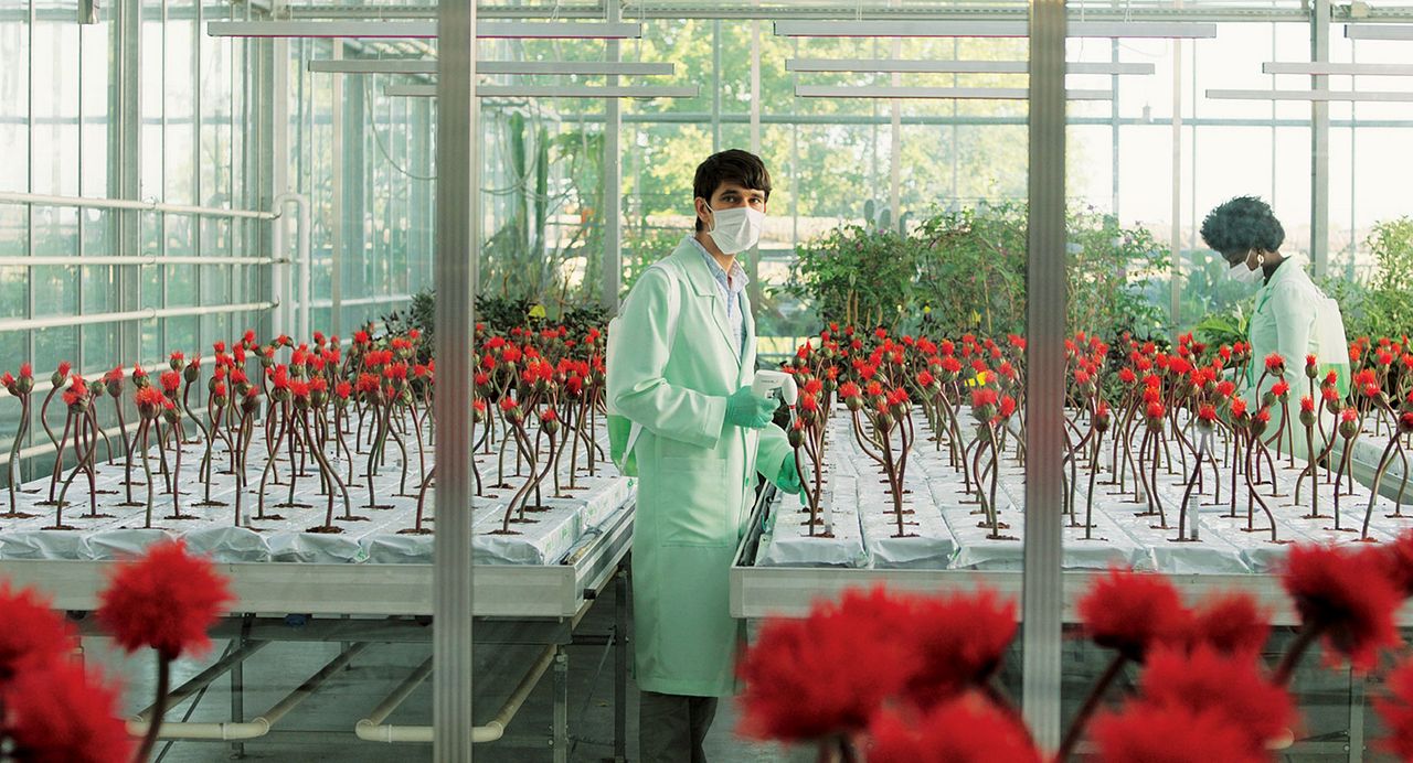 Little Joe: La Flor de la Felicidad : Foto Ben Whishaw