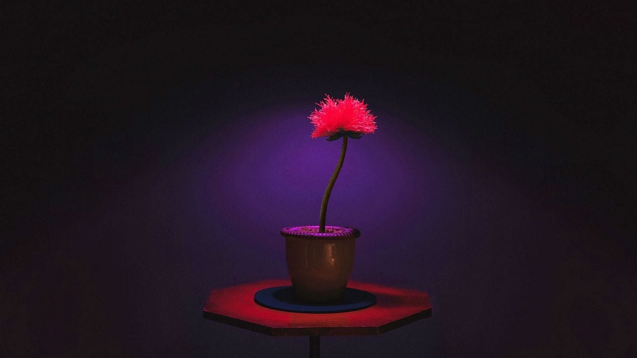 Little Joe: La Flor de la Felicidad : Foto