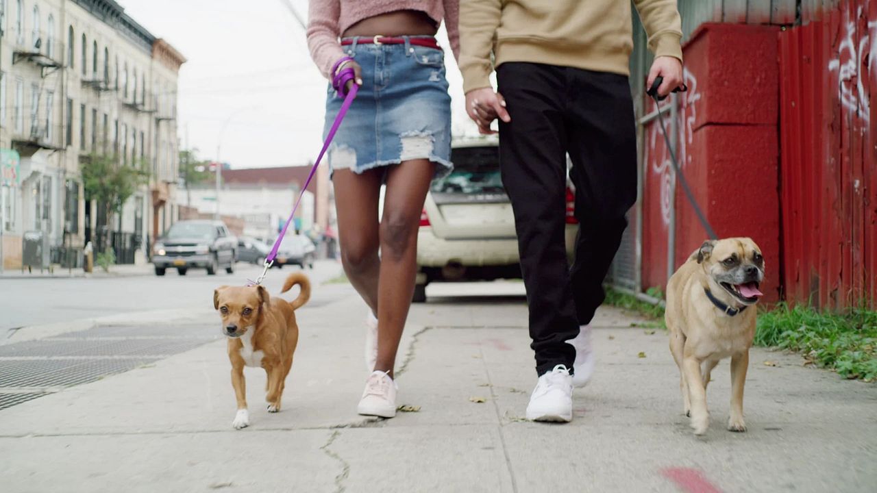 Los paseos de Bruno : Foto