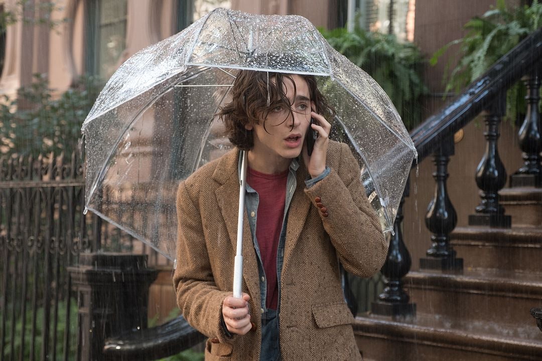 Un día lluvioso en Nueva York : Foto Timothée Chalamet