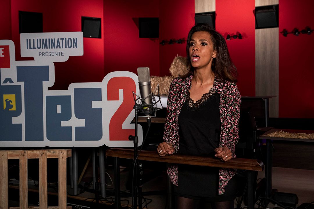 La vida secreta de tus mascotas 2 : Cobertura de revista