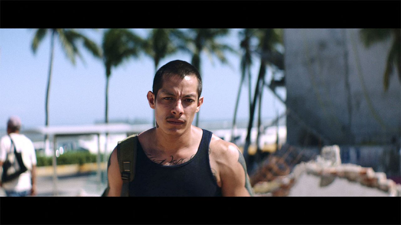 Luciérnagas : Foto Luis Alberti