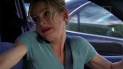 The Closer : Póster