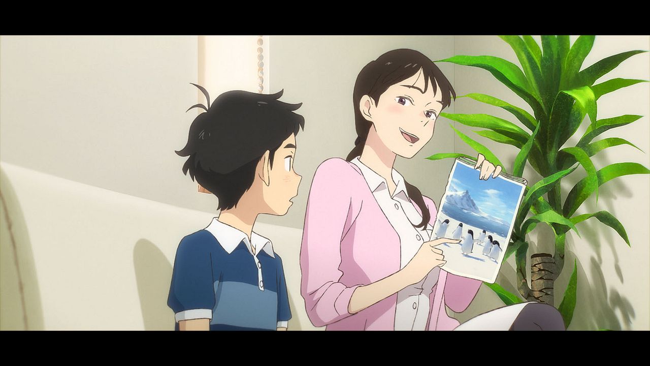 Autopista Pingüino : Foto