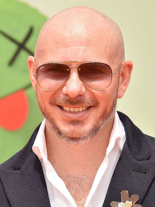 Póster Pitbull