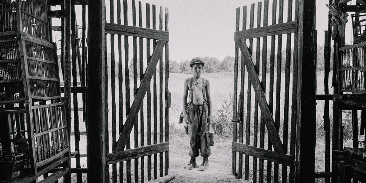 The painted bird : Foto