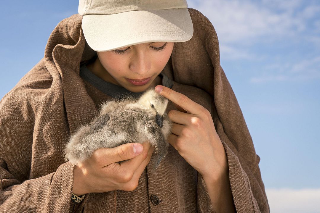 Abre tus alas : Foto