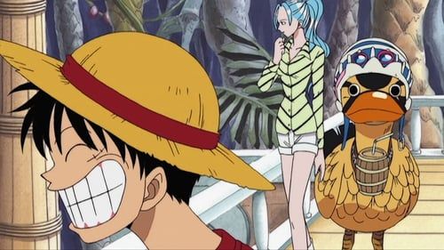 One Piece : Foto