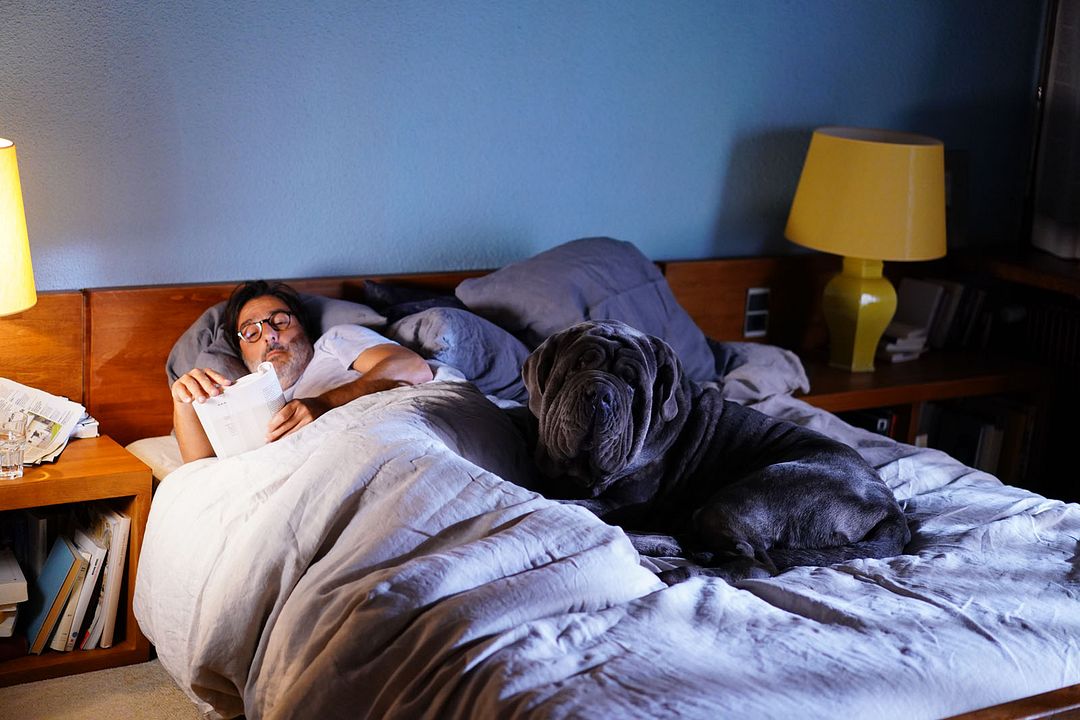 Mi perro Tonto : Foto Yvan Attal