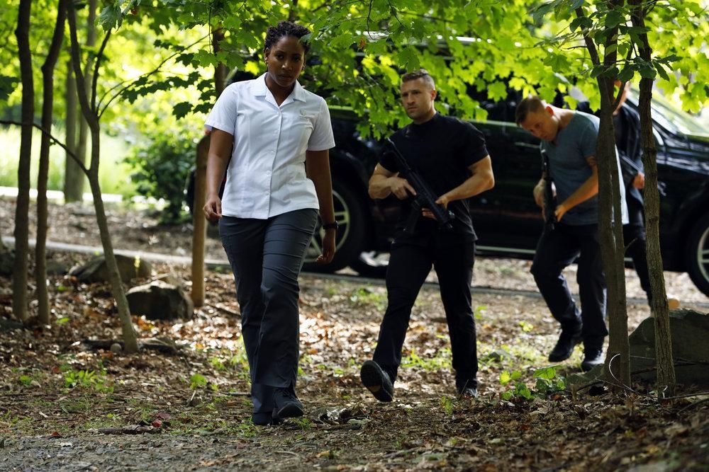 The Blacklist : Foto Natalie Paul