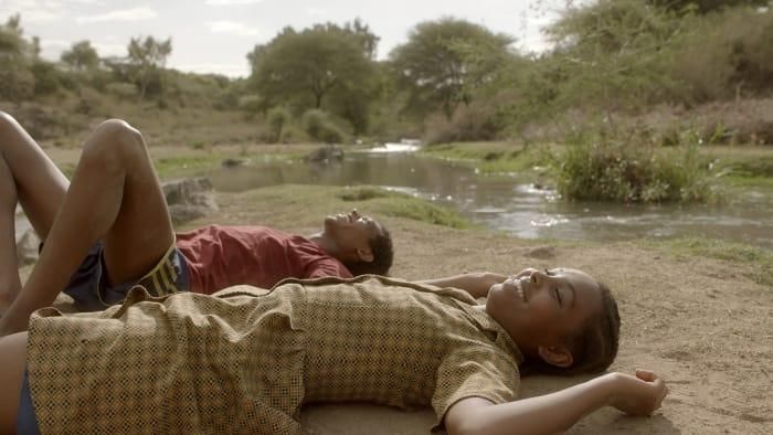 El árbol de Higo : Foto