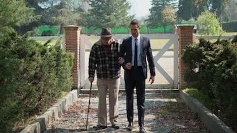 El dragón: El regreso de un guerrero : Póster