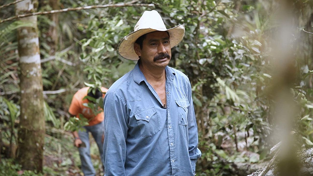 A Six Dollar Cup of Coffee : Foto