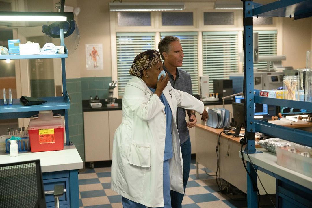NCIS: Nueva Orleans : Foto CCH Pounder